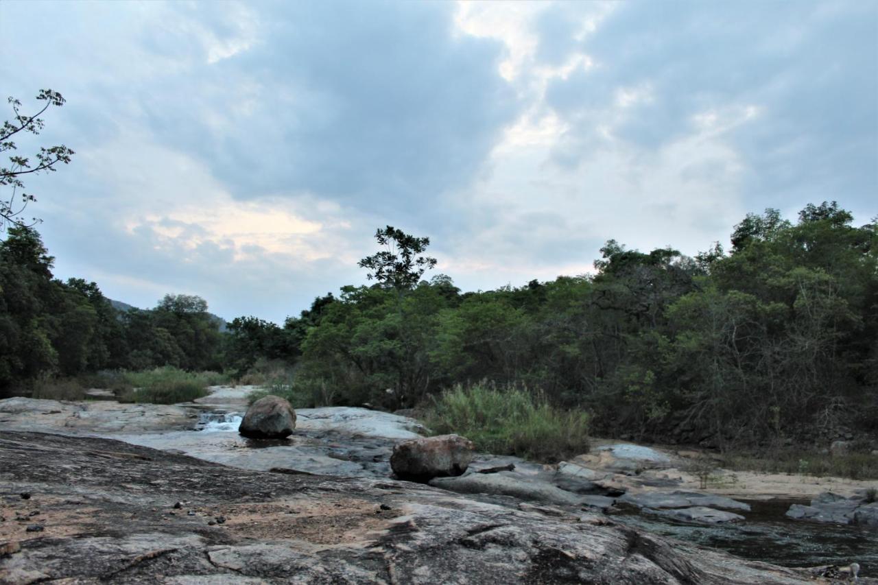 Lions Rock Rapids - Luxury Tented Camp Гейзівью Екстер'єр фото